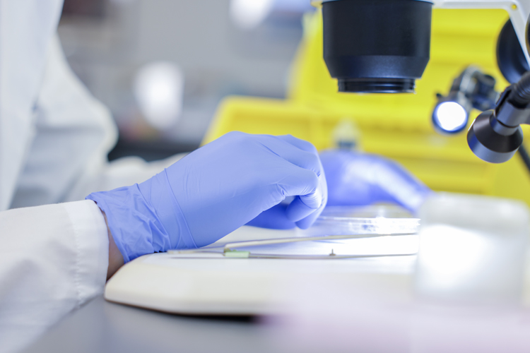 Closeup of researcher hands on the lab