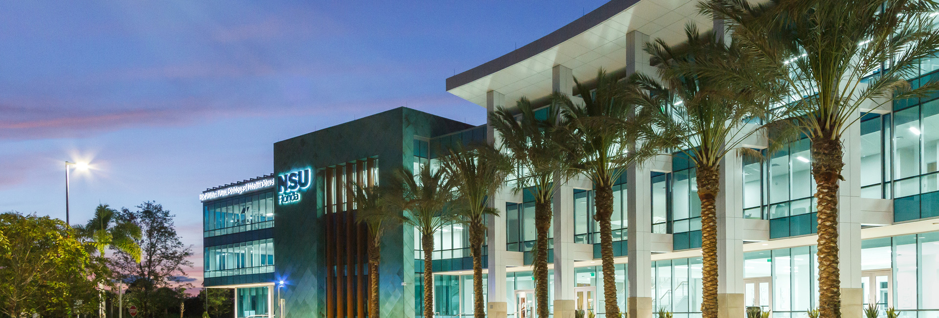 Tampa campus night photo