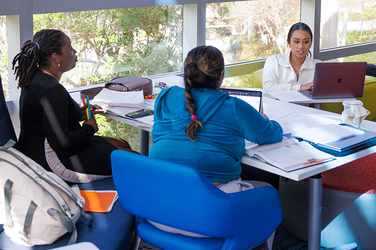 NSU students studying together