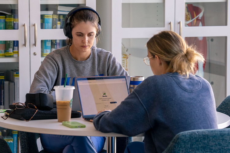 NSU students using their laptops to study