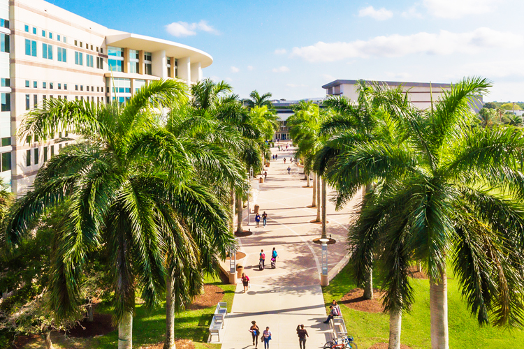 UC and library walkway