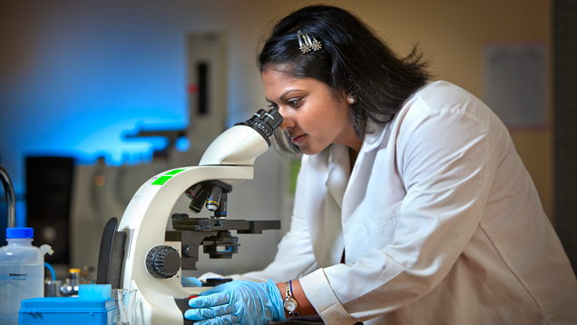 Student looking through a microscope
