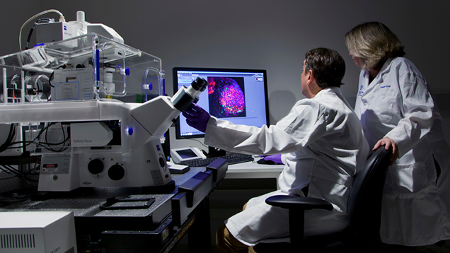 two researchers collaborating