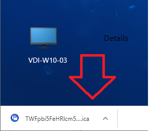 Citrix WorkSpace launch option