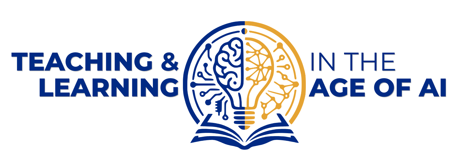 Person doing teaching and learning conference