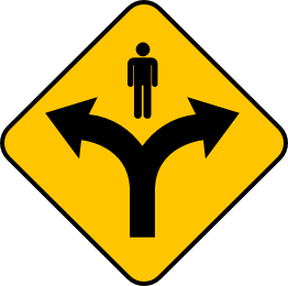 Split Road Icon